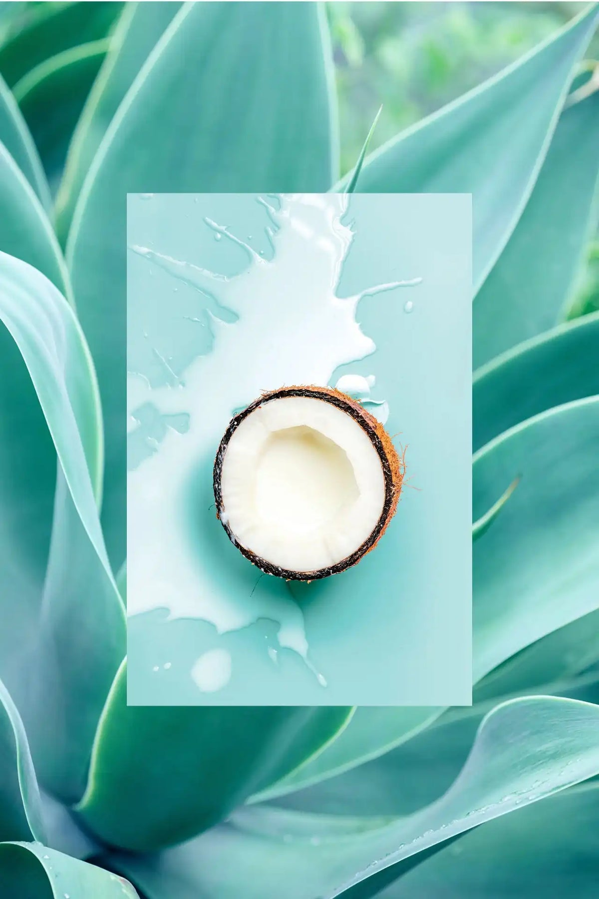 The Moisture Smoothie Shampoo | Coconut + Agave + Sweet Almond Milk | 3 fl oz