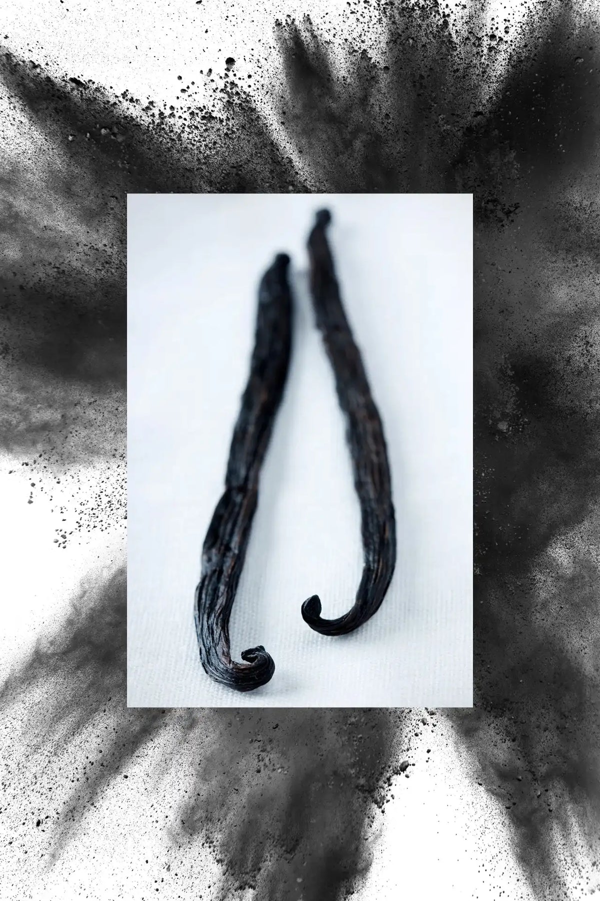 Deodorant | Vanilla Bean + Charcoal | 2.7 oz
