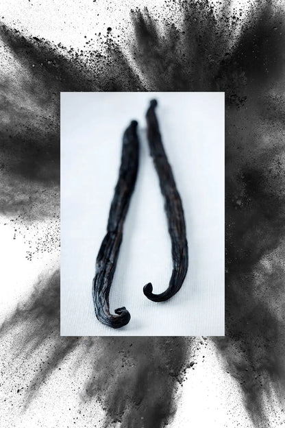Deodorant | Vanilla Bean + Charcoal | 2.7 oz
