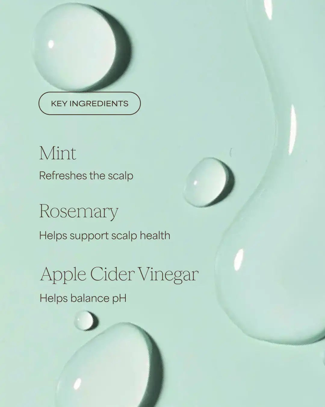 The Rosemary Vinegar Hair Rinse Shampoo Alternative | Rosemary + Mint | 6 fl oz