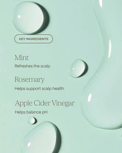 The Rosemary Vinegar Hair Rinse Shampoo Alternative | Rosemary + Mint | 6 fl oz