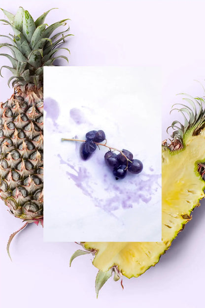 Sugar Scrub | Pineapple + Maqui Berry + Coconut | 15 oz
