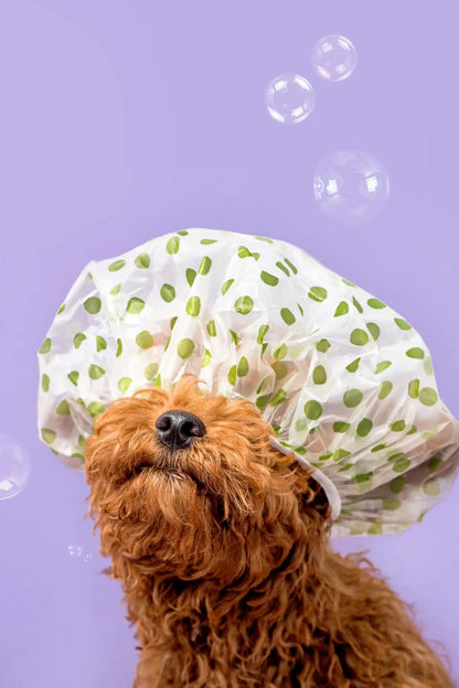 Fur Kids Sensitive Coat Shampoo + Conditioner | Aloe + Oatmeal | 16 oz