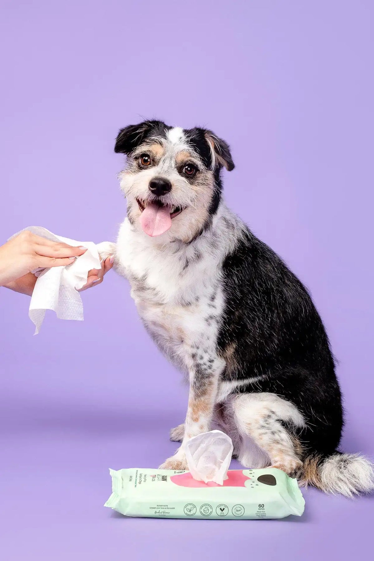 Fur Kids Freshen Up Pup Pet Wipes | Apple Cream | 60 ct