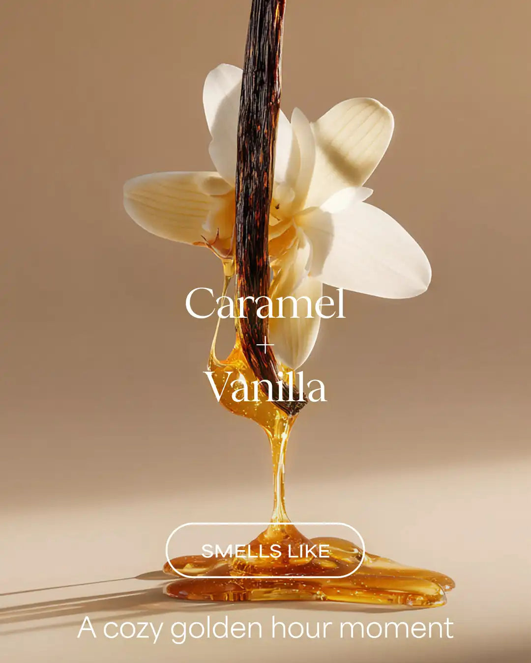 Caramel Vanilla Delight Body Wash | Caramel + Vanilla | 20 fl oz