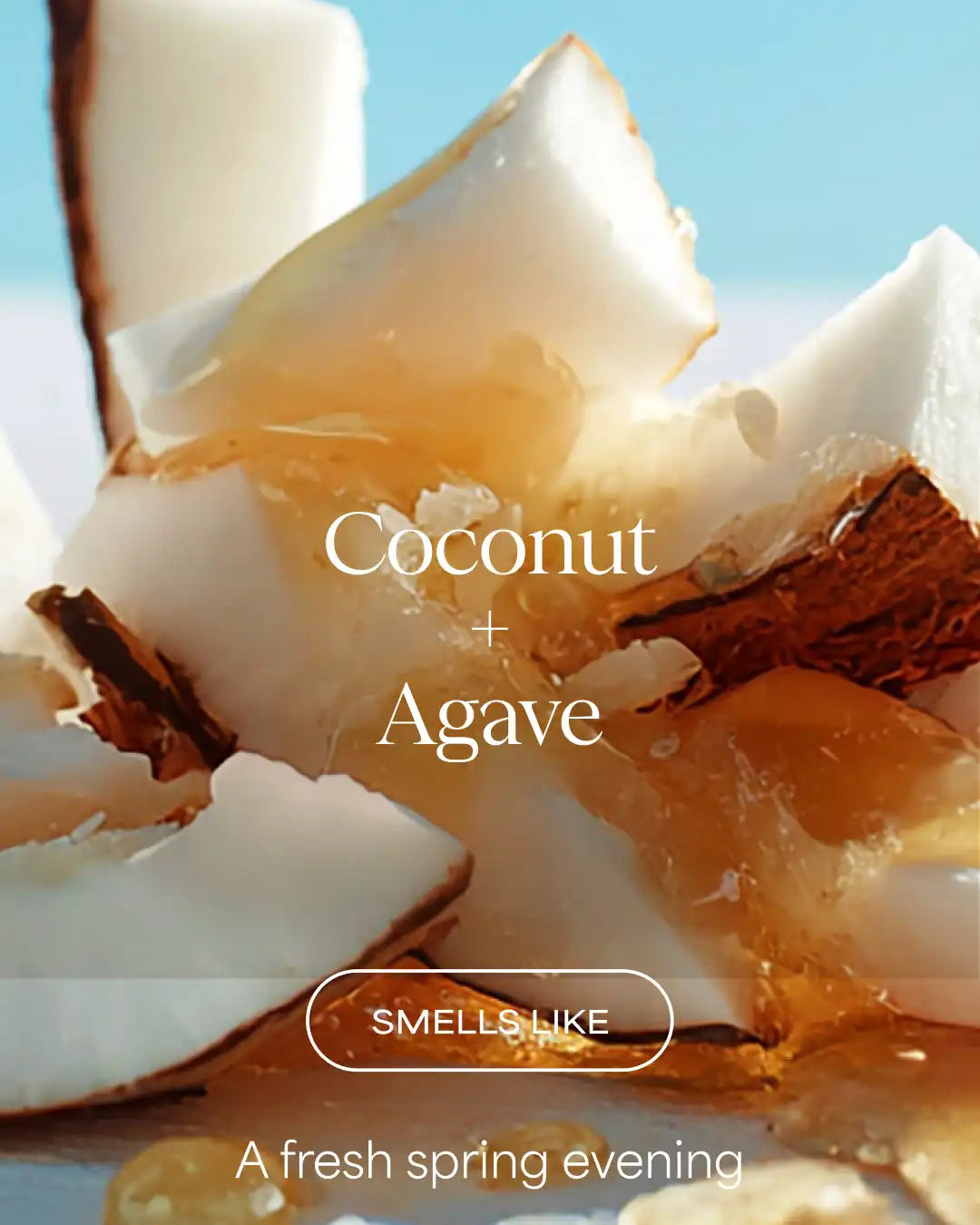 The Multi Miracle Leave-In Conditioner & Heat Protectant | Coconut + Agave | 6 fl oz