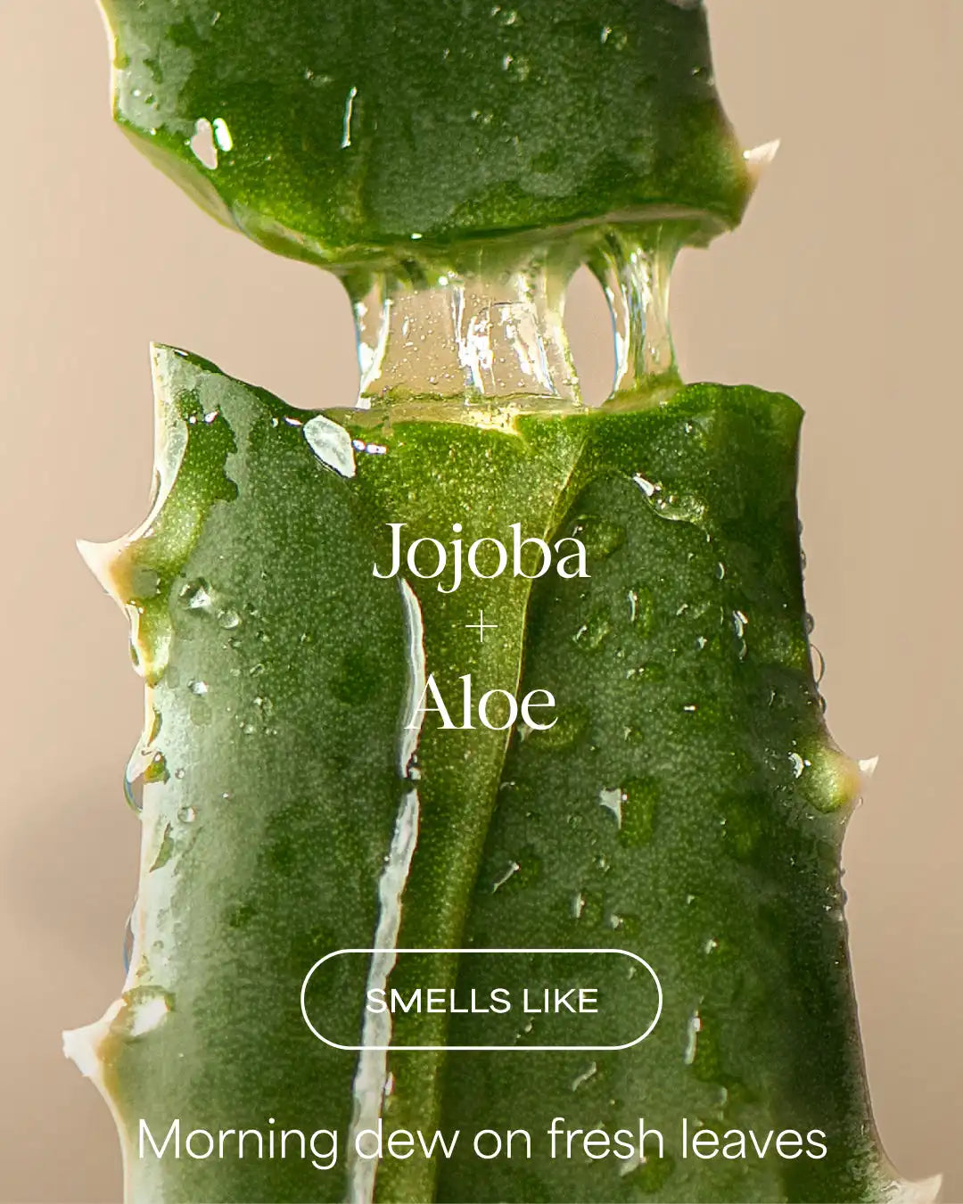 The Scalp Restore Shampoo | Jojoba + Aloe | 16 fl oz