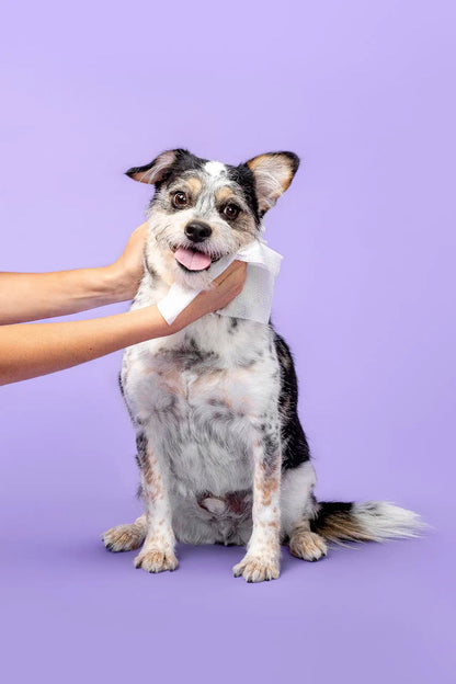 Fur Kids Freshen Up Pup Pet Wipes | Apple Cream | 60 ct