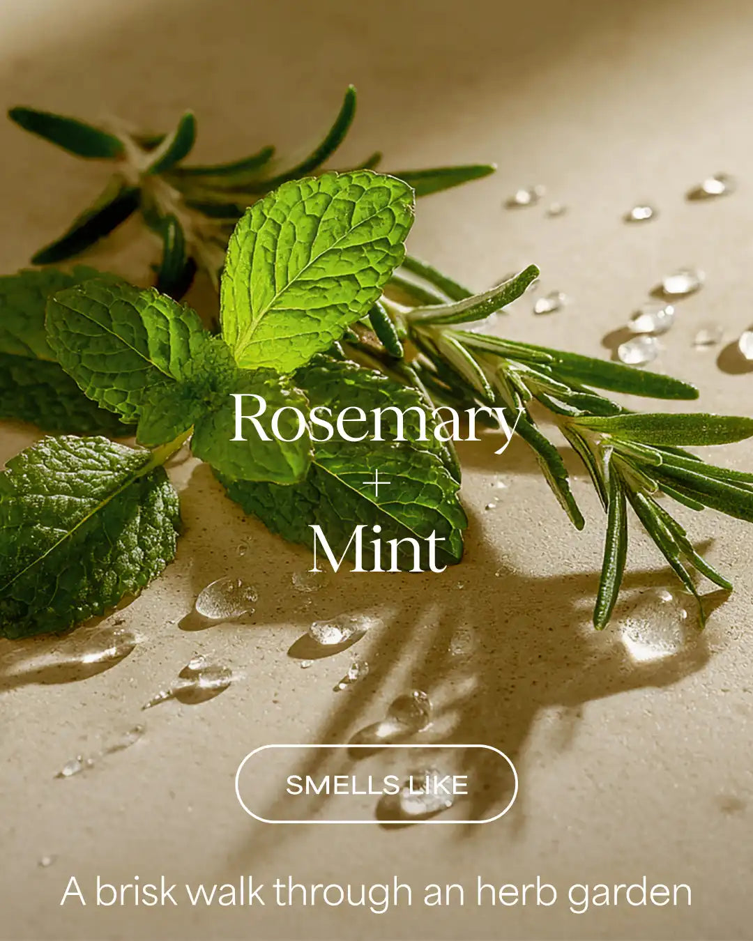 The Oil Remedy Shampoo | Rosemary + Mint | 16 fl oz