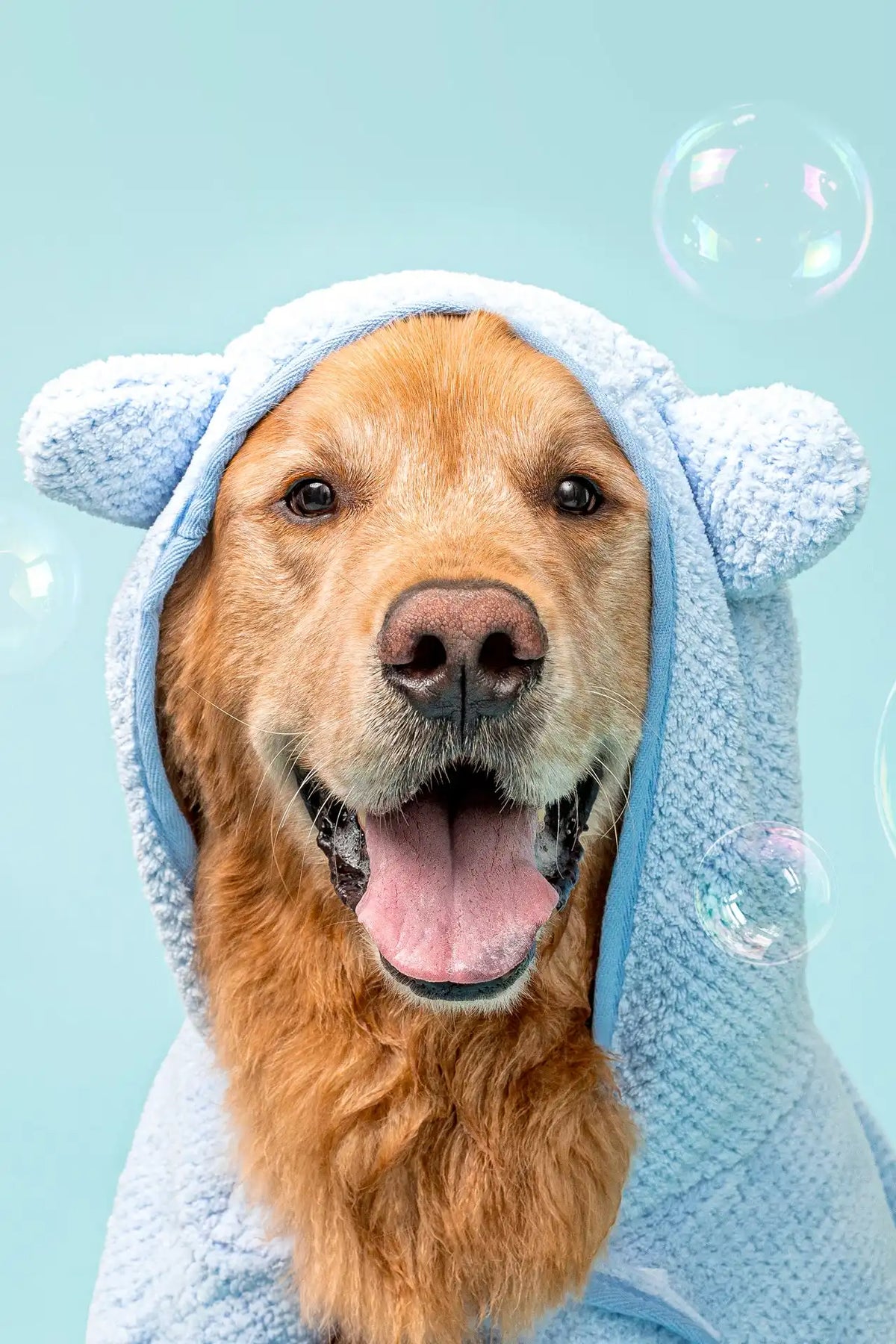 Fur Kids Shiny Coat Shampoo + Conditioner | Coconut + Mango | 16 oz