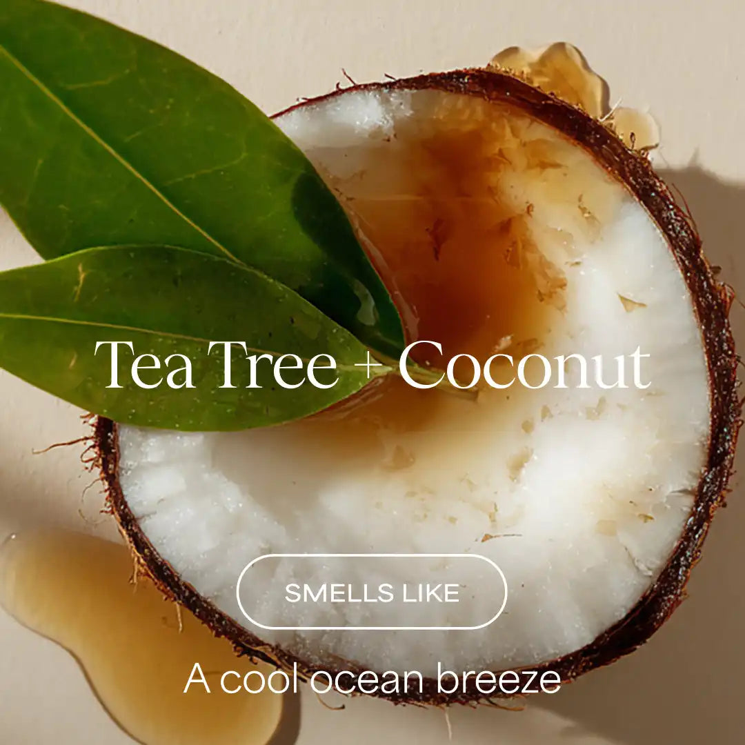 The Strength Builder 2-in-1 Shampoo & Conditioner | Tea Tree + Coconut | 16 fl oz