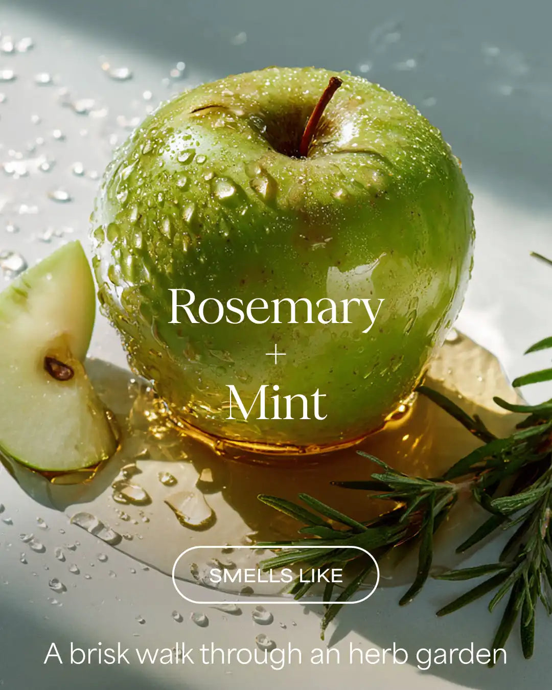 The Rosemary Vinegar Hair Rinse Shampoo Alternative | Rosemary + Mint | 6 fl oz