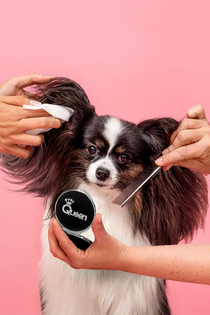 Fur Kids Freshen Up Pup Pet Wipes | Apple Cream | 60 ct