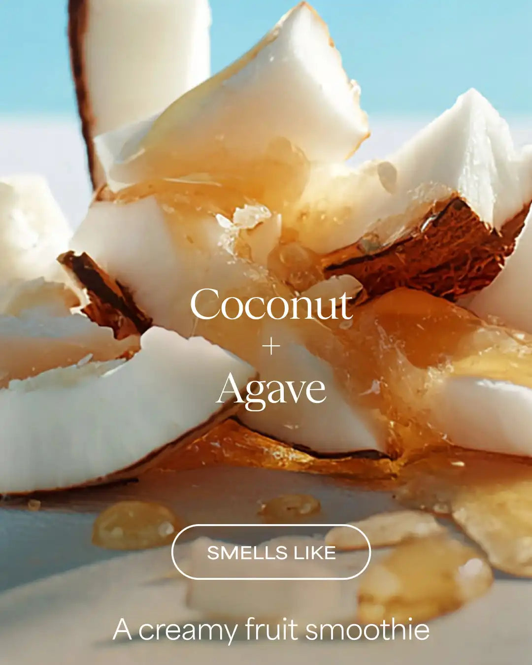 The Moisture Smoothie Shampoo | Coconut + Agave | 3 fl oz