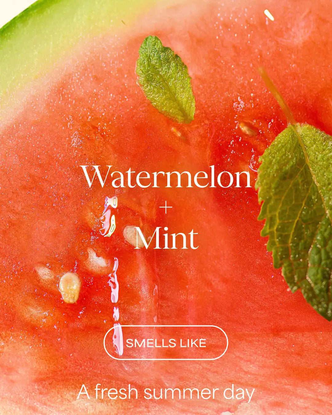 Watermelon Mint Refresh Body Wash | Watermelon + Mint | 20 fl oz