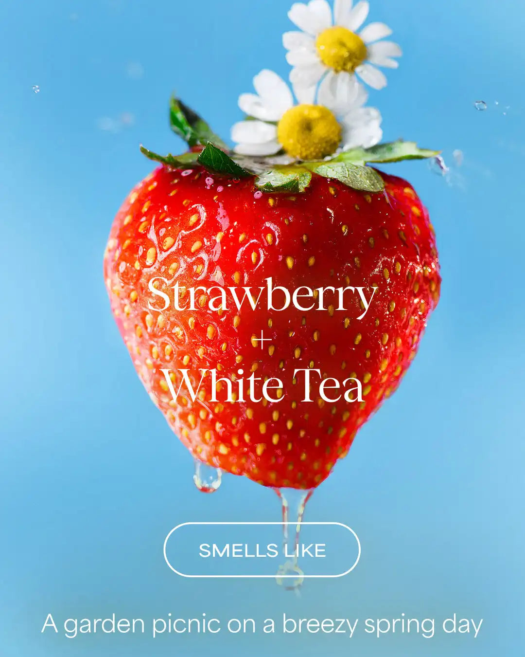 The Volume Revive Conditioner | Strawberry + White Tea | 16 fl oz