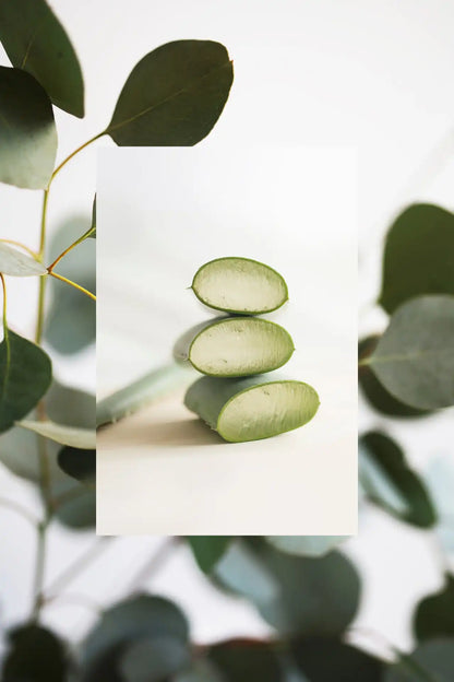 The Scalp Scrub Micro Polish | Eucalyptus + Aloe | 5 oz